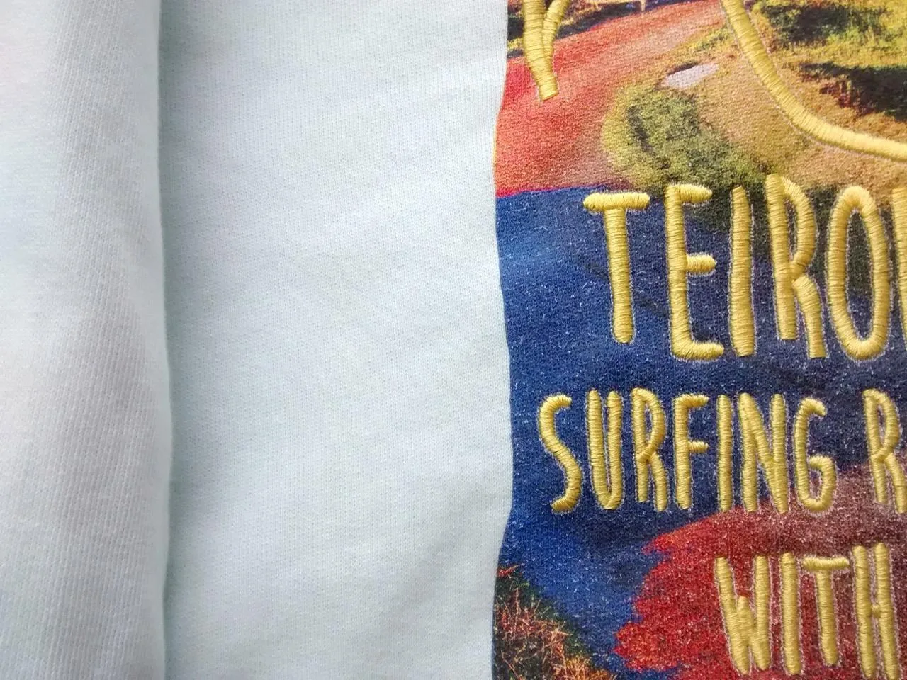 Surfs Up · printed sweatshirt, close-up