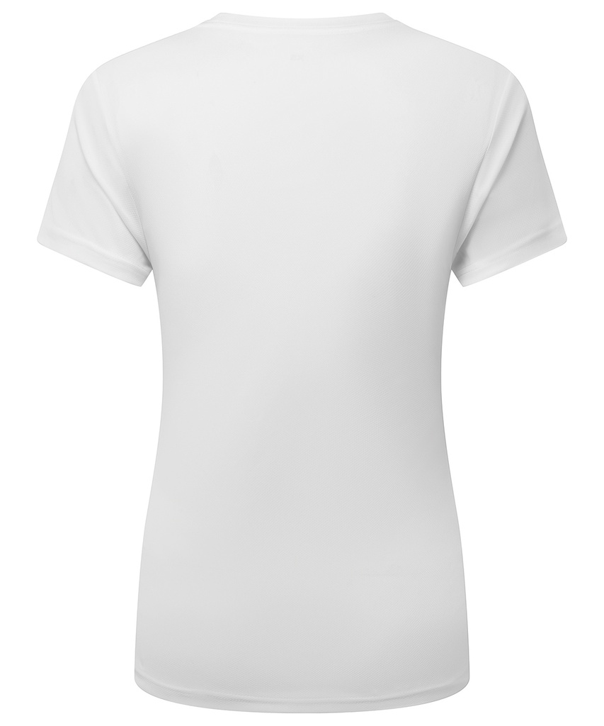 TR504_LS22_2025.jpg