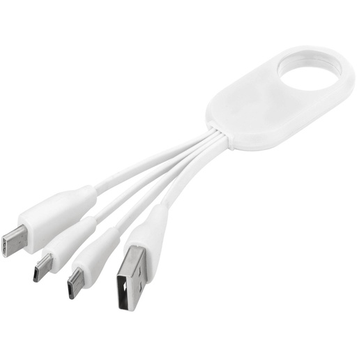 [13421401] Troup 4-in-1 charging cable with type-C tip