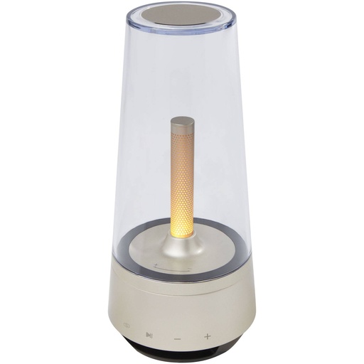 [12428002] Hybrid ambiance speaker