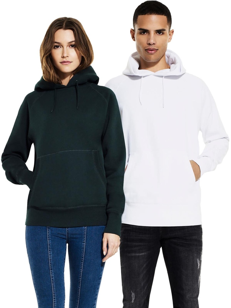 RAGLAN PULLOVER HOODIE N51P