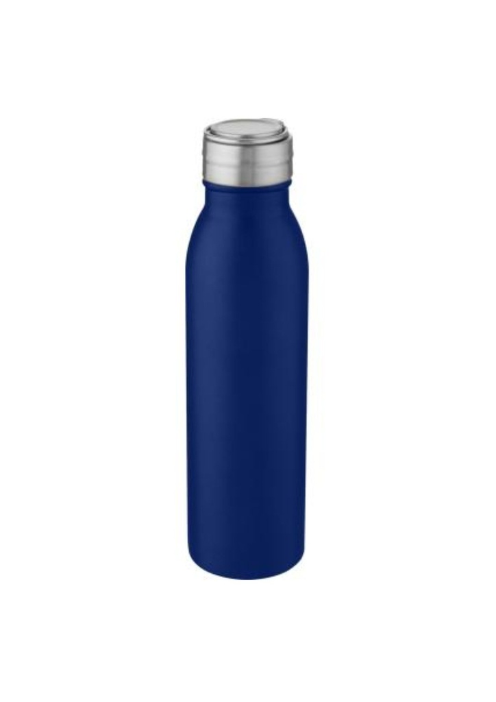 Harper 700 ml stainless steel water bottle with metal loop - Mid blue