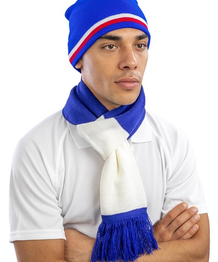Team scarf R146X
