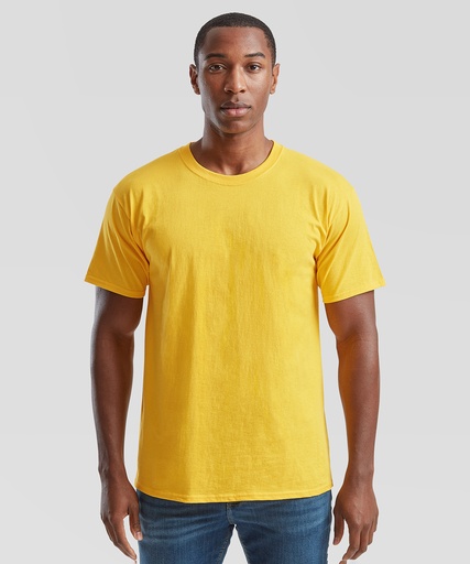 Valueweight t-shirt, blank, as sold before printing