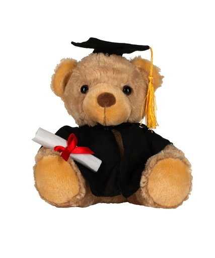 [MM036BROWL] Graduation bear