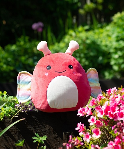 Squidgy's by Mumbles